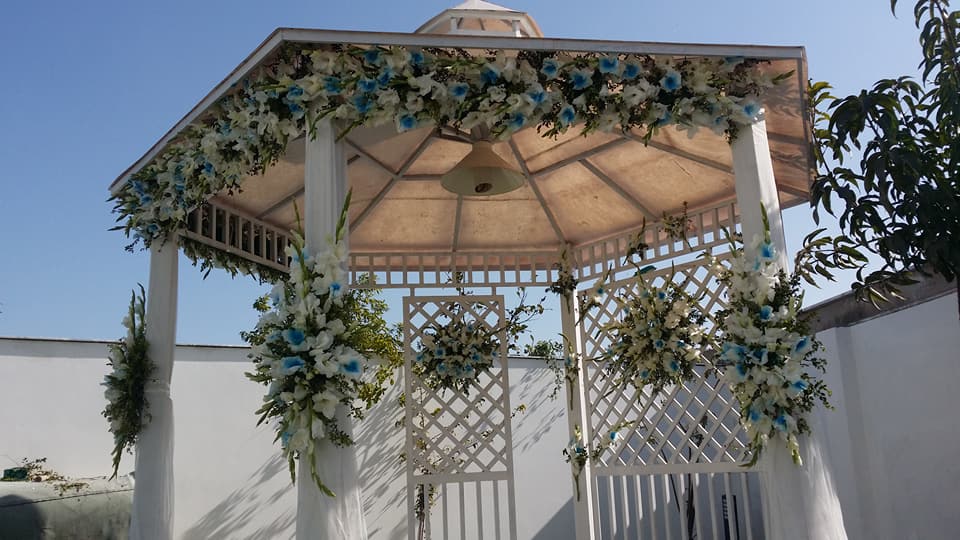 514416077_10082080681839112_4099321105749895002_n